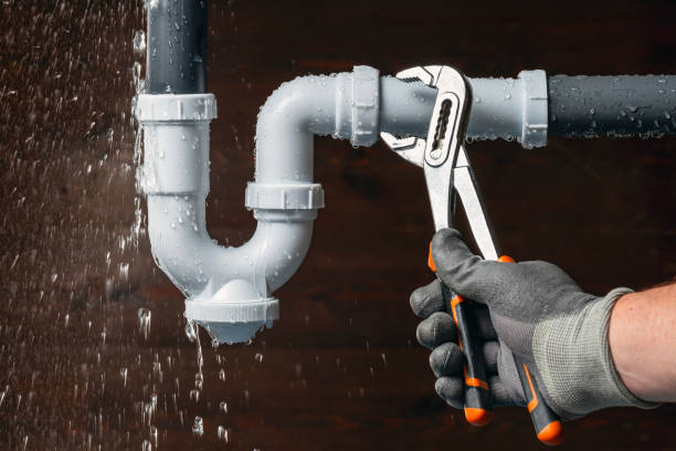 Professional Plumbing technician working in Peck, MI